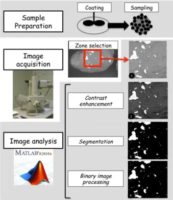 Fig. 5. Image analysis methodology developed in this paper   3.4. Image analysis methodology 
