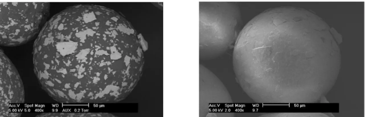 Fig. 6. Comparison of the B.S.E. (left) and S.E. (right) modes in E.S.E.M. technique for PMMA coated with 1%Talc  