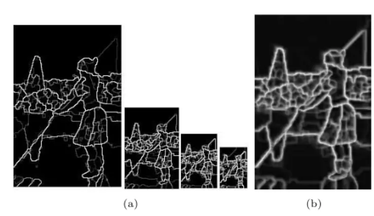 Fig. 4. In (a) multiscale stochastic watershed for a given realization i of bagging, in (b) the result of the bagging stochastic watershed