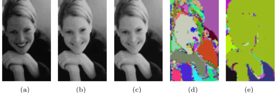 Figure 4. Channels of image &#34;woman face&#34; f λ (45 × 76 × 61 pixels) and λ-flat zones