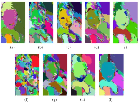 Figure 5. η-bounded regions and µ-geodesic balls of image &#34;woman face&#34; for λ = 0.005 (Chi-squared distance d χ 2 )