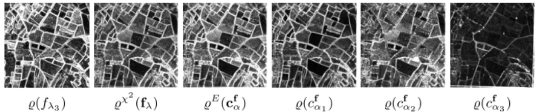 Fig. 2. Morphological gradient %(f λ 3 ) on channel 3, metric-based vectorial gradient in image space % χ 2 (f λ ), the same in factor space % E (c f α ) (3 axes) and morphological gradients of each components of factor space %(c f α 1 ), %(c f α 2 ), %(c 
