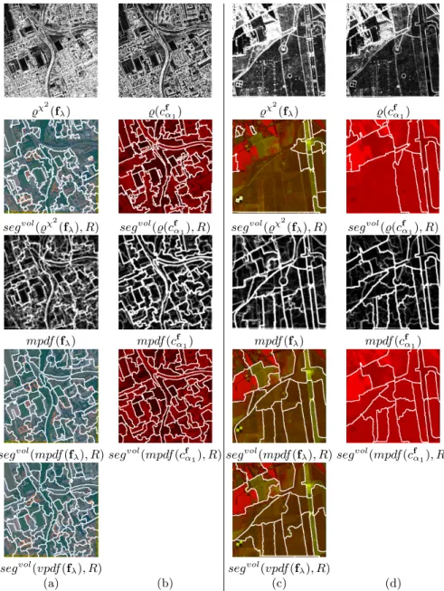Fig. 5. Watershed segmentations and associated gradients like functions in MIS or FIS on other images