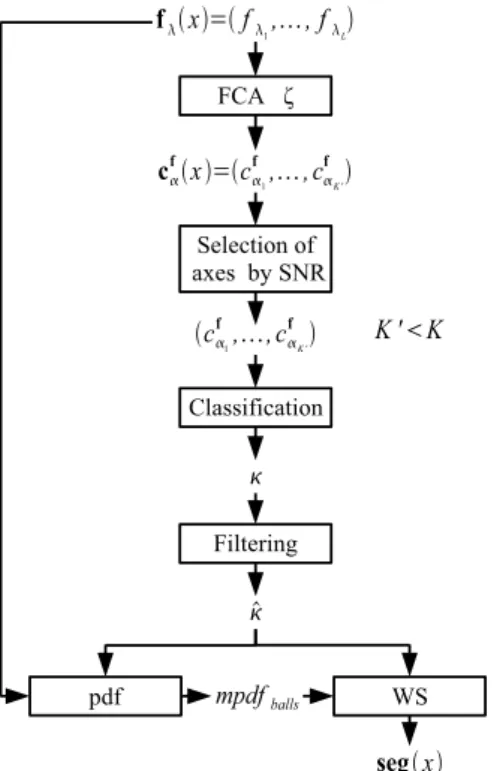 Figure 11. Complete flowchart for classification-driven stochastic WS with regionalized random balls markers W S bκ sto.balls .