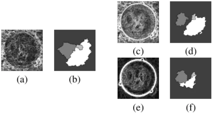 Fig. 9. Segmentations on parameters: (a) Mahalanobis distance based gradient, (b) associated watershed, (c) gradients supremum, (d) associated watershed