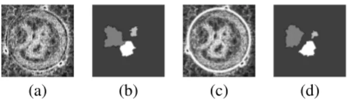 Fig. 13. (a) Flowchart of different transformations: