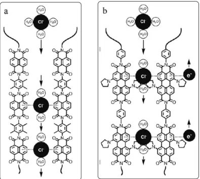 Figure  1.16  Transporteurs  d’anions  utilisant  les  interactions  anion-π :  a)  oligonaphtalène- oligonaphtalène-diimide, b) olygopérylènediimide