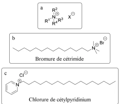 Figure 1.19 Exemples de QACs couramment utilisés : a) structure générale (l’anion (X - ) est  généralement  un  chlorure  ou  un  bromure),  b)  Bromure  de  cétrimide,  c)  Chlorure  de  cétylpyridinium