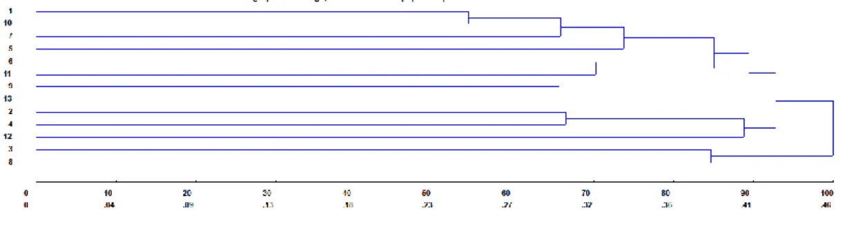 Figura 1 -Resultado do agrupamento UPGMA dos 13 clones da variedade Vitória ES 8142 com base  na distância euclidiana média padronizada 