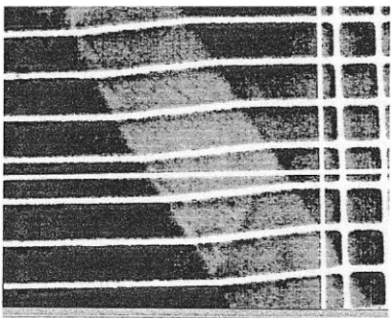 Figure 5 – Très forte localisation du glissement prismatique  dans du zirconium traité  β (11).