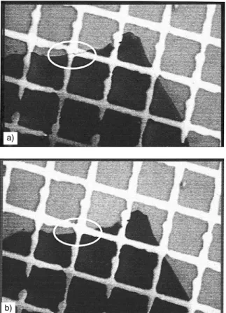 Figure 9 – Figures de moiré produites par du glissement cristallin et du maclage dans le zirconium traité  β 