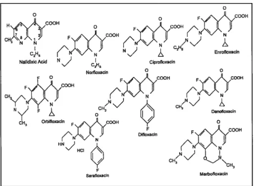 Figure 1 : Structures moléculaires des fluoroquinolones vétérinaires.
