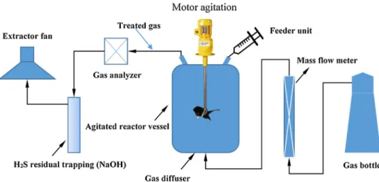 Fig 1. Flow diagram of laboratory-scale setup for H 2 S removal from gas phase.