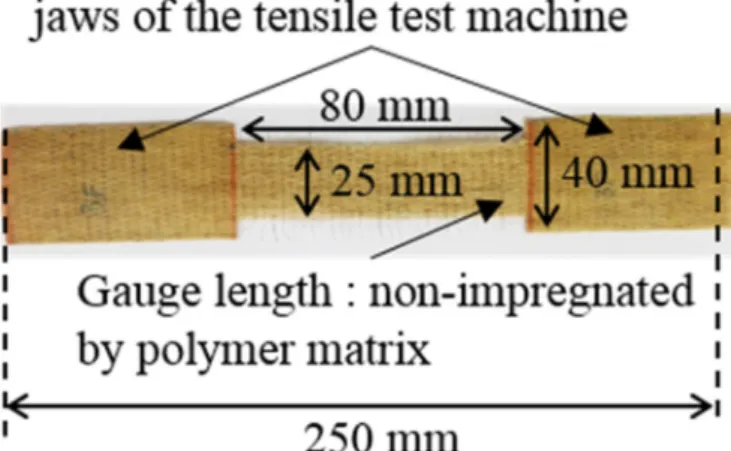 Fig. 4. Profile projection of a flax yarn for apparent diameter measurement.  