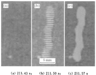 Fig. 8 Successive evolvement of surface spalled region for specimen oxidized at 1 300 &#34;C for 362 h during cooling