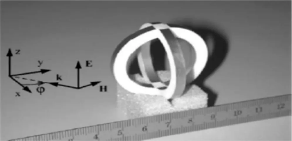 Figure 1.6Motif bidimensionnel du RAF proposé par Balmaz et Martin. 