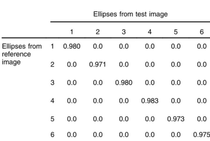 Table 1 Matching matrix between test and reference ellipses shown in Fig. 6.