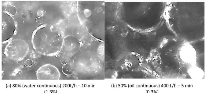 Figure 8 – PVM images (1050 µm x 800 µm) from crystallization varying the water cut and the flow rate at  different times after the beginning of crystallization – volume of hydrates formed for the respective time is 