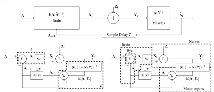 Fig. 2 Top panel: Information-theoretic model for the aiming task. Bottom left panel: Implementation of the model