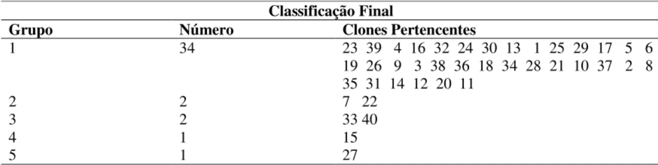 Tabela  1  –  Agrupamentos  de  clones  de  ciclo  de  maturação  tardia  pelo  método  de  Tocher,      envolvendo  as  variáveis:  produtividade  (SC.benef./ha),  chochamento  de  grãos  (%),  maturação  de  grãos (dias) e uniformidade de maturação