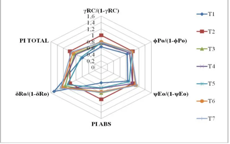 Figura 3. Parâmetros da fluorescência da clorofila a obtidos em junho/2015 a partir do Teste JIP em folhas de café  arábica  Catuaí  V