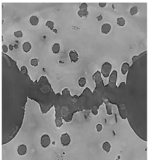 Figure 2. Section of the microstructure before fracture for  specimen 1 and strain field obtained from FE simulation