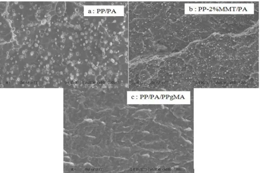 Fig. 1. Observations MEB de surfaces cryo-fracturées des mélanges PP/PA (a) ; PP-MMT/PA (b) et  PP/PA/PPgMA (c) 