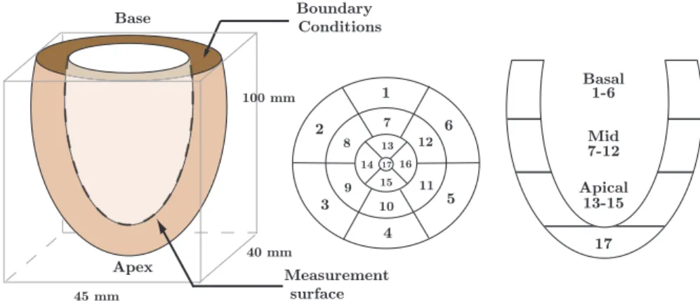 Figure 1: Model geometry (left) and AHA regions (center and right)