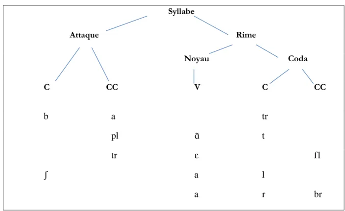 Figure n°1 : Schématisation de la structure d’une syllabe (et exemple de 5 mots : battre, plante, trèfle, châle,  arbre) 