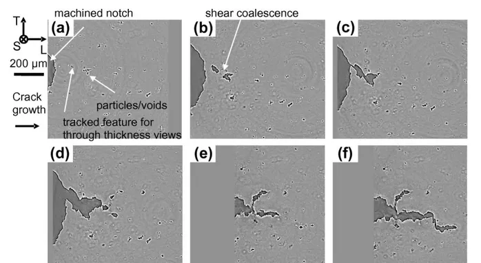 Fig. 1 Cross section from 3D X-ray images of the microstructure of a thick notched specimen under tensile loading at different  crack mouth opening displacements: (a) 0 mm, (b) 1.625 mm, (c) 1.875 mm, (d) 2.0625 mm, (e) 2.3125 mm, (f) 2.375 mm