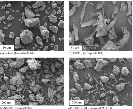 Fig. 1. Scanning electron microscopy images of powders lactose (Granulac ® 140) (a), MCC (Vivapur ® 102) (b), SMCC (Prosolv ® 90) (c) and SMCC-HD (Prosolv ® 90 HD) (d).
