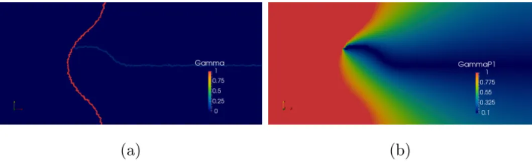 Figure 4: Images showing a dimensionless γ field at a triple junction both before and after the extension procedure described in Algorithm 1.