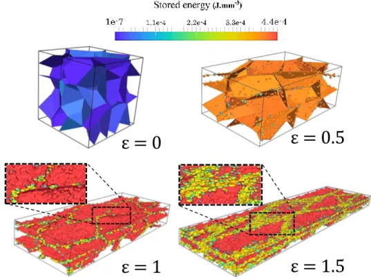 Figure 8: Illustrated case of a DRX simulation using the full field model [19]. The simulated process is a channel-die compression on a 304L steel at a temperature of 1273K and a strain rate of 0.01s − 1 .