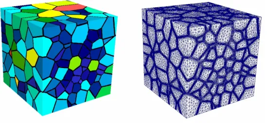 Figure 1. Polycrystal description in 3D with the used finite element mesh (anisotropic meshing near  grain boundaries)