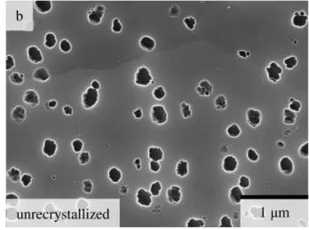 Figure 4: SE images of the sample q 1075  (the compression direction is vertical), showing  (a) γ’ 1075 NR  precipitates in unrecrystallized areas surrounding recrystallized grains, 