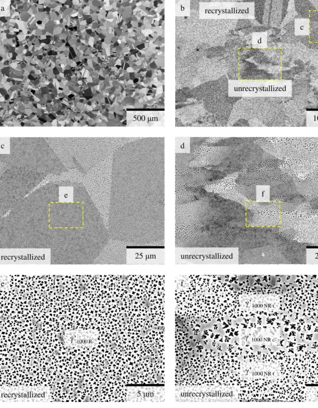 Figure 5: BSE images of the sample q 1000  (the compression direction is vertical), showing  (a) an overview of the microstructure, (b) recrystallized and unrecrystallized areas, 