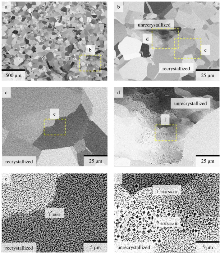 Figure 7: BSE images of the sample q 400  (the compression direction is vertical), showing  (a) an overview of the microstructure, (b) recrystallized and unrecrystallized areas, 