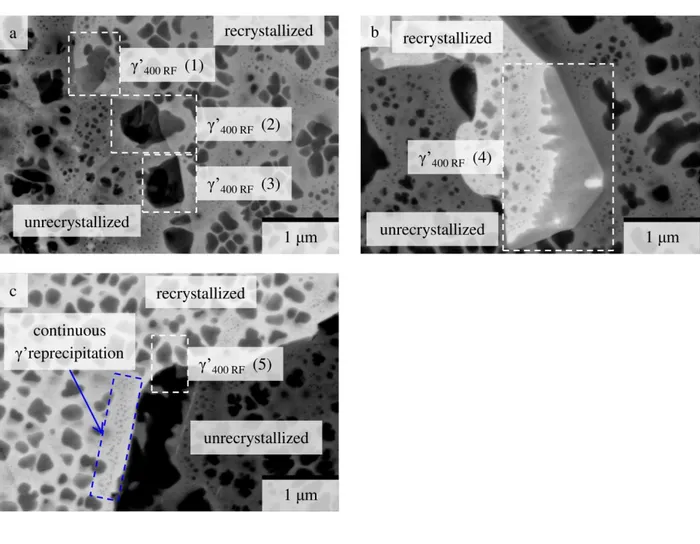 Figure 10: BSE images in the sample q 400  along on the recrystallization front,  showing both recrystallized (bright) and unrecrystallized (dark) areas 