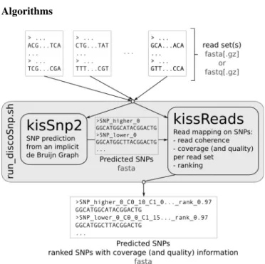 Figure 1. DISCO S NP method diagram. DISCO S NP is composed of two modules, K IS S NP 2 and K ISS R EADS that are called by the run disco.sh script.