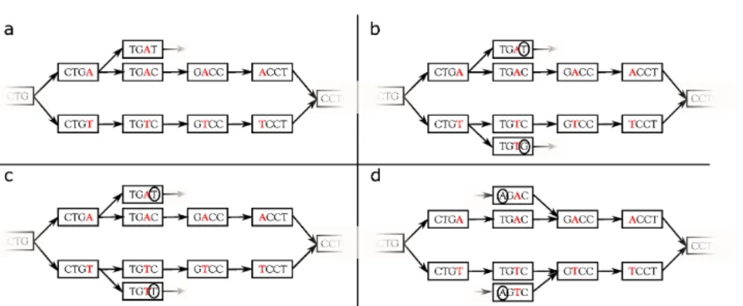 Figure 3. Examples of non symmetrically branching bubbles (a and b) and symmetrically branching bubbles (c and d)