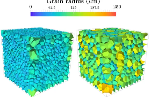 Figure 1 presents the initial and final stages of a full field grain growth simulation performed on the austenitic stain steel 304L