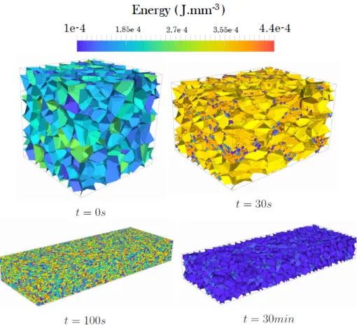 Figure 4 : A DRX + PDRX simulation at large deformation for a 304L austenitic stainless steel