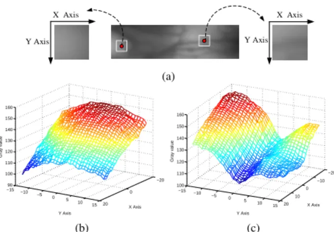 Fig. 2: (a) Two pixels and their 30 × 30 neighborhood; Left: