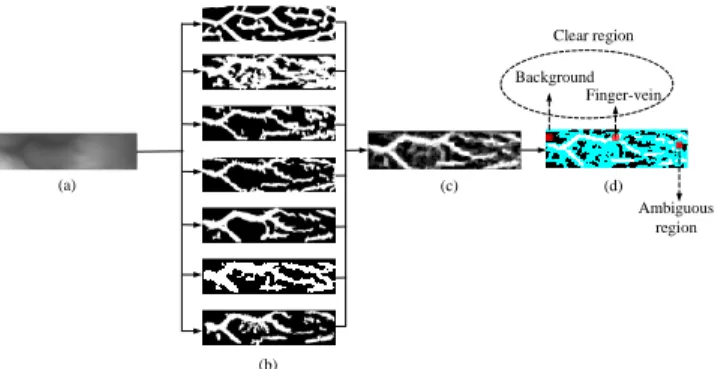 Fig. 5: Labeling the vein and background pixels: (a) Original image; (b) Extracted vein features (patterns) from various approaches; (c) Probability map from (c); and (d) pixels with label (clear region) and pixels without label (ambiguous region, in cyan)