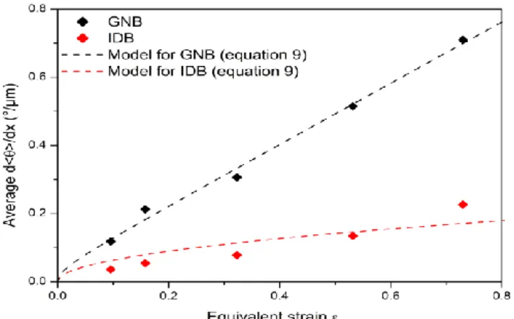 Fig. 7. Evolution of the average disorientation gradient d&lt;θ&gt;/dx of IDBs and GNBs as a function of equivalent  strain
