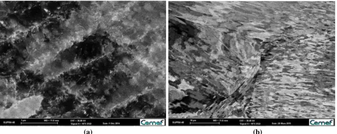 Fig. 3. ECCI micrographs on pure tantalum deformed by compression at room temperature up to ε VM =0.73