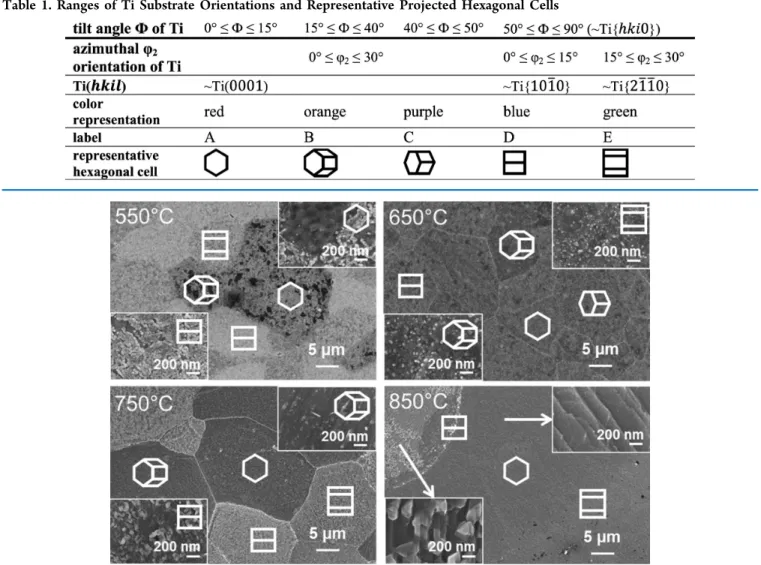 Figure 1. Scanning electron micrographs of TiOC. High-magniﬁcation insets: areas on diﬀerently oriented substrate grains (TiOC 550 , TiOC 650 , TiOC 750 ) or areas with diﬀerent TiOC morphologies (TiOC 850 )