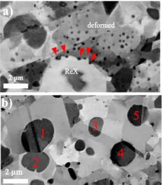 Figure 11: Heteroepitaxially recrystallized grains pinned by a) remaining secondary precipitates in the  deformed matrix after deformation at T=1040°C, 0.1s -1  and ε=0.36, b) primary precipitates having 