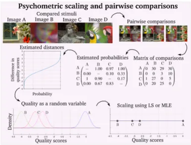 Fig. 3. Different cumulative distributions mapping probabilities into distances in the scale