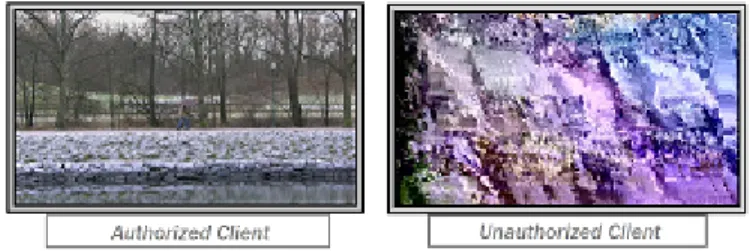 Fig. 1: Selectively Encrypted video streams can be decoded but are visually ciphered for unauthorized users.
